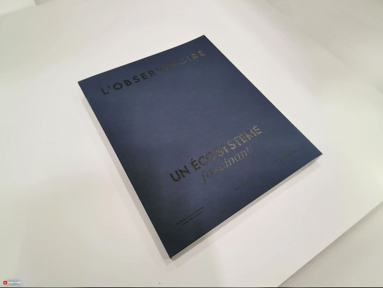 <p><strong>Mémoire étudiant&nbsp;</strong></p>image